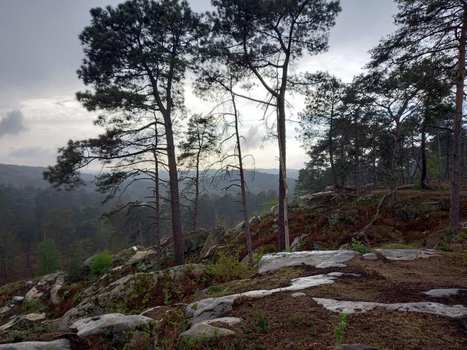 Gite Les Petites Bruyeres Veneux-les-Sablons Εξωτερικό φωτογραφία